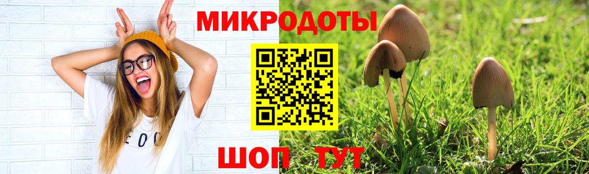 Псилоцибиновые грибы мухоморы Первоуральск