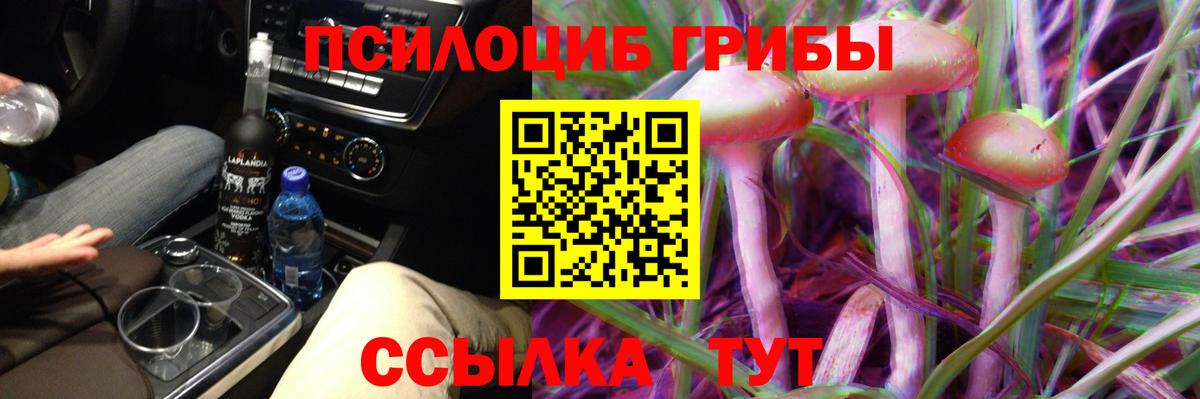 Галлюциногенные грибы Psilocybe  Вход с VPN  где купить наркотик  Галлюциногенные грибы прущие грибы  Первоуральск 